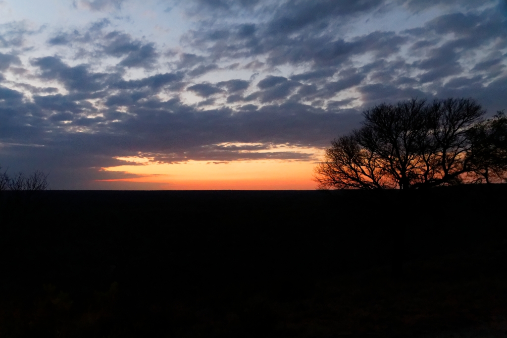 08 - Kruger NP (14).jpg